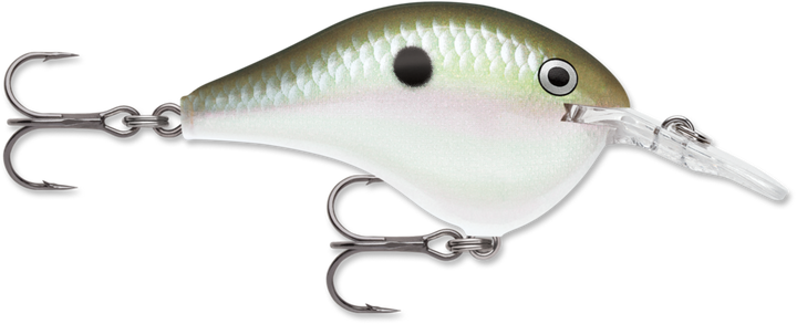 Rapala DivesTo 6 Crankbaits