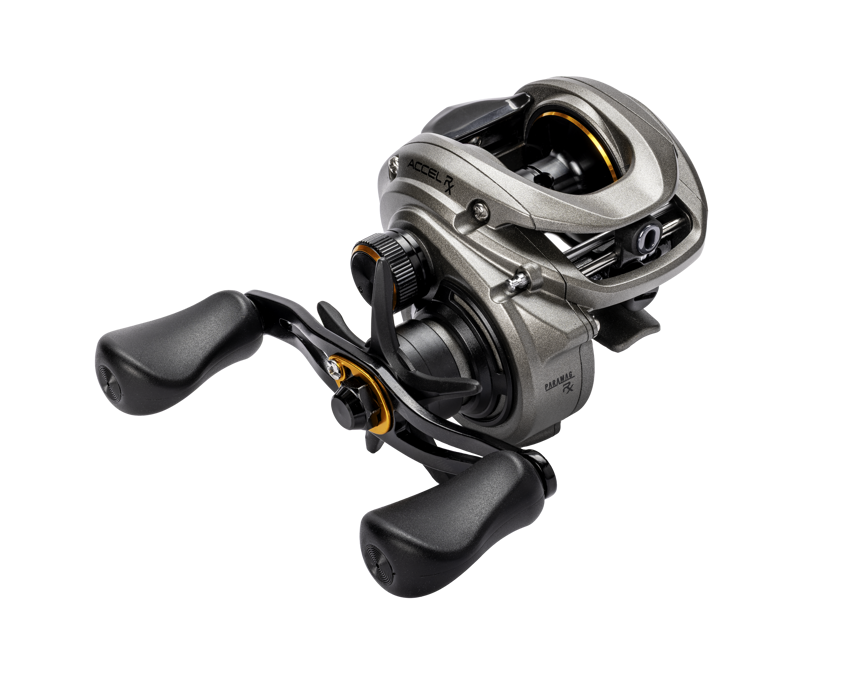 Lew’s Accel RX Baitcast Reel