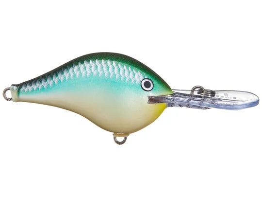 Rapala DivesTo 10 Crankbaits