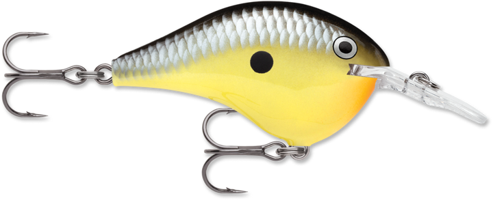 Rapala DivesTo 6 Crankbaits