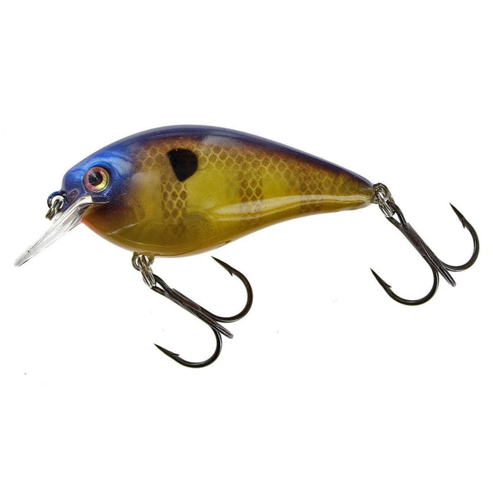 Strike King KVD Squarebill 2.5 Crankbait