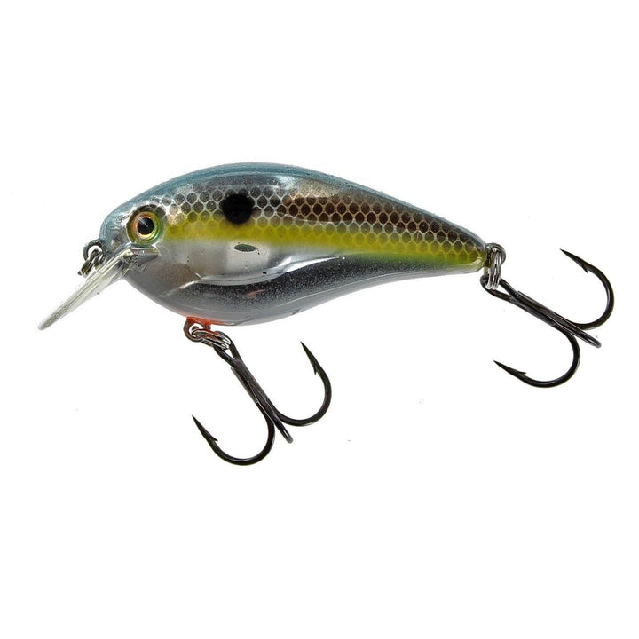 Strike King KVD Squarebill 2.5 Crankbait
