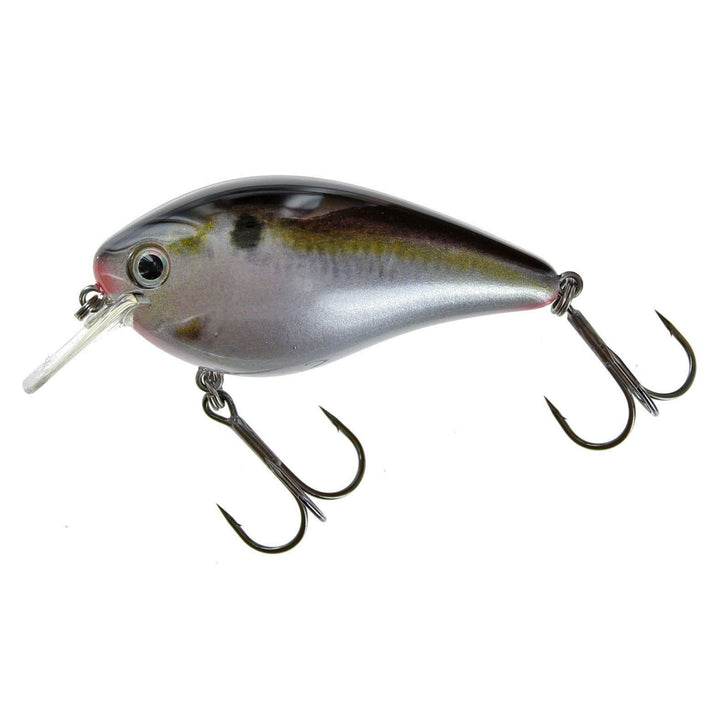 Strike King KVD Squarebill 2.5 Crankbait