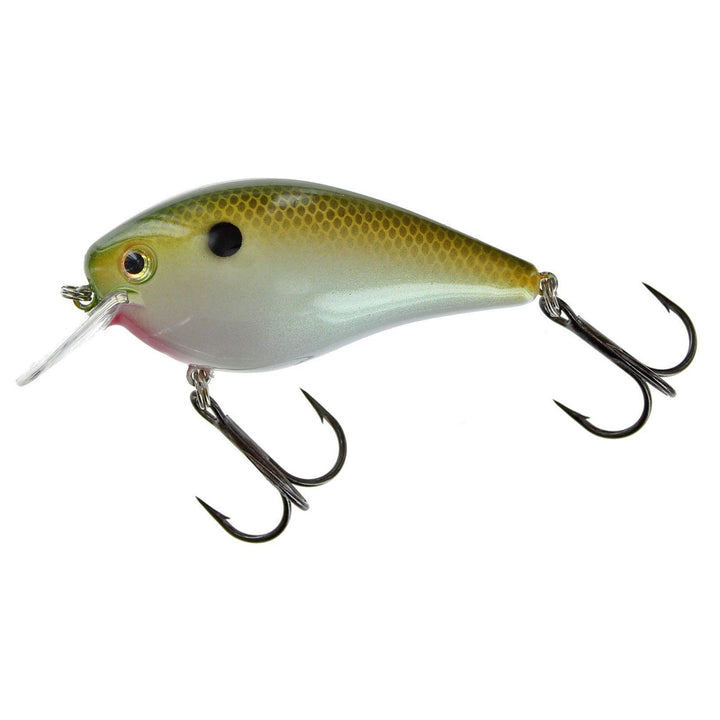 Strike King KVD Squarebill 2.5 Crankbait