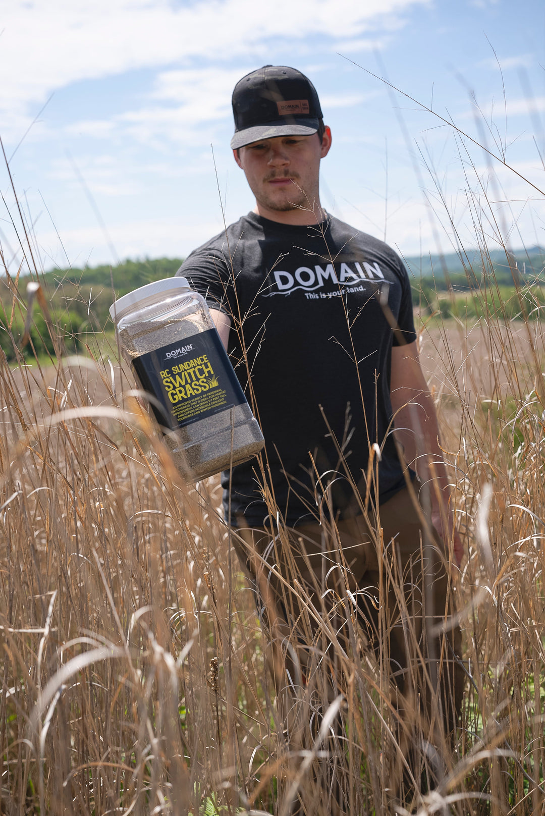 RC Sundance Switchgrass Habitat Seed