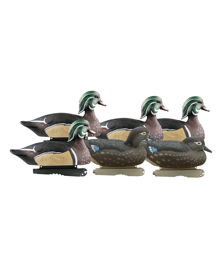 Avery GHG Hunter Series Lift Size Wood Duck Decoys