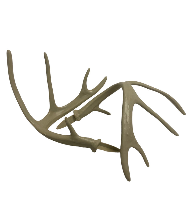 Whitetail Deer Replacement Antlers