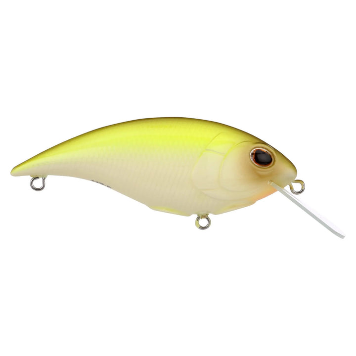 Berkley Shallow Money Badger