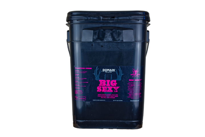 Big Sexy™