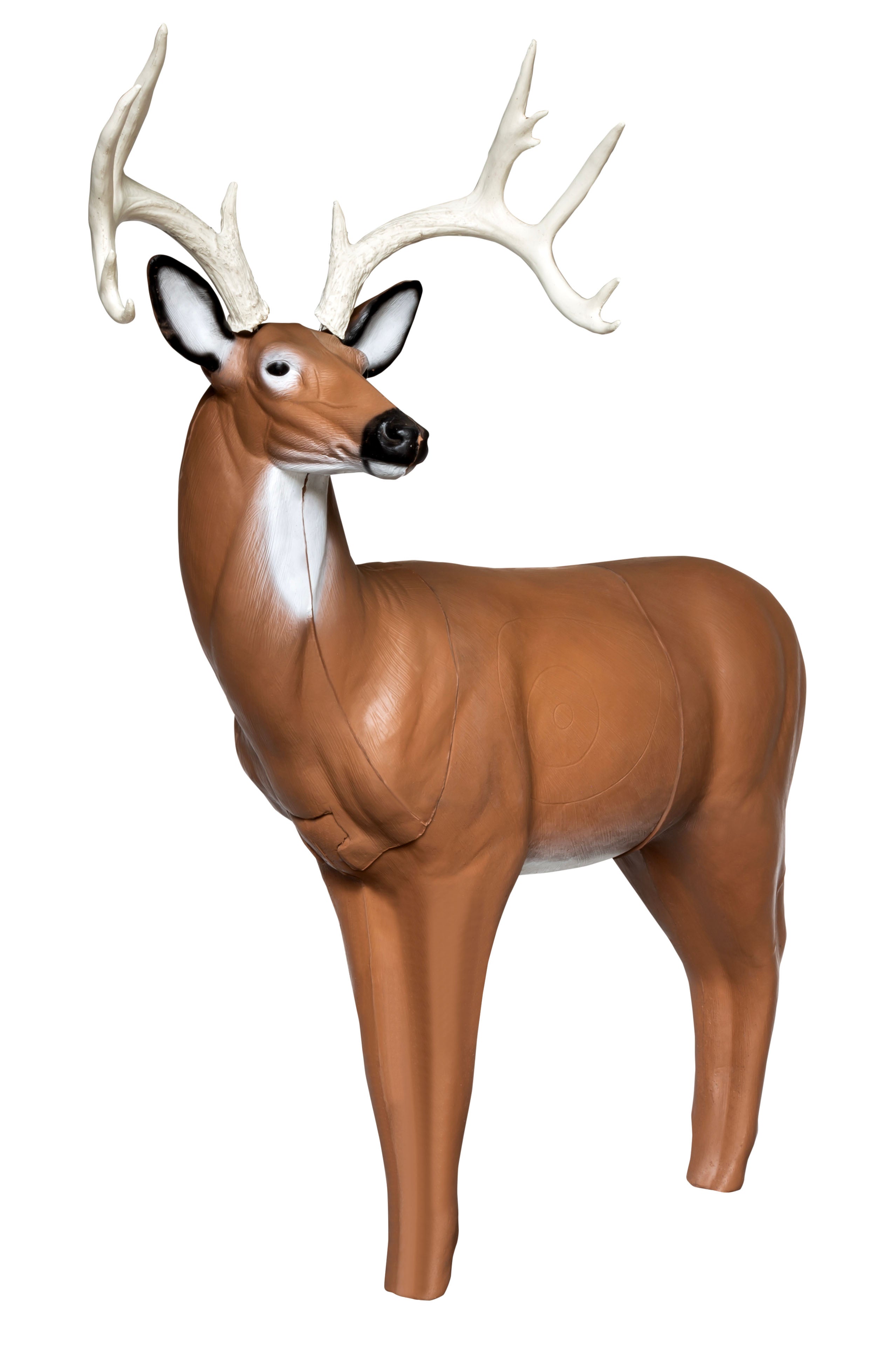 Real Wild 3D Big Buck Deer with EZ Pull Foam – Feathers & Antlers