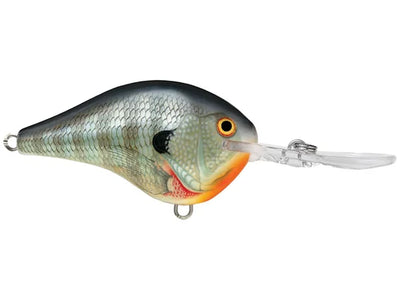 Rapala DivesTo 10 Crankbaits