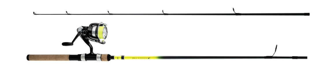 Daiwa D-Shock II w/ J-Braid Spinning Combo