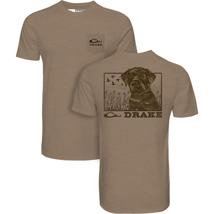 Drake Chocolate Lab Shirt