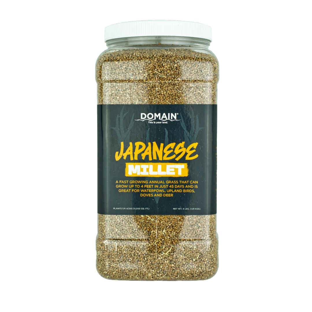 Japanese Millet Food Plot Seed
