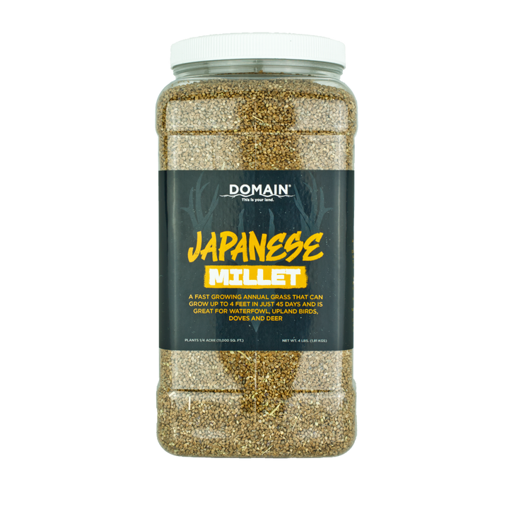 Japanese Millet Food Plot Seed