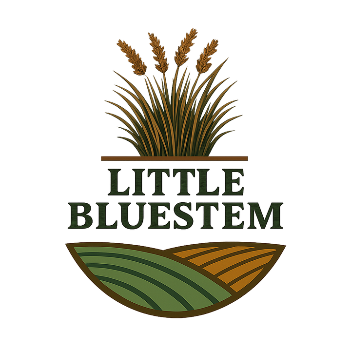 Little Bluestem Habitat Seed