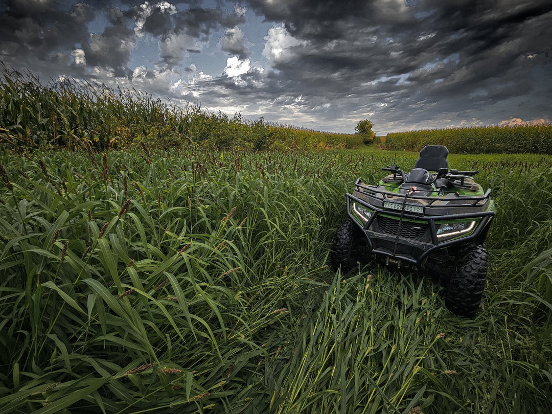 Landing Strip™ Food Plot Seed
