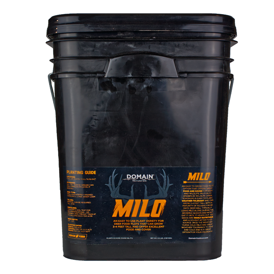 Milo Food Plot Seed