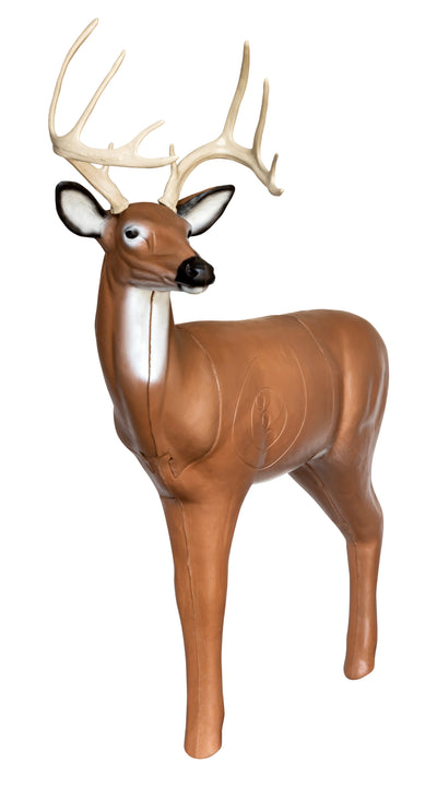 Real Wild 3D Medium Series Alert Buck with EZ Pull Foam