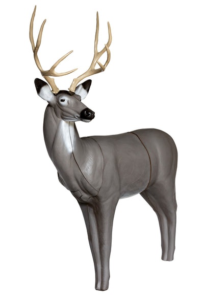 Real Wild 3D Mule Deer with EZ Pull Foam