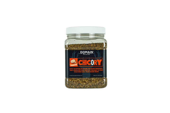 Domain Pounder - Chicory