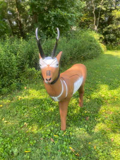 Real Wild 3D Pronghorn Antelope with EZ Pull Foam