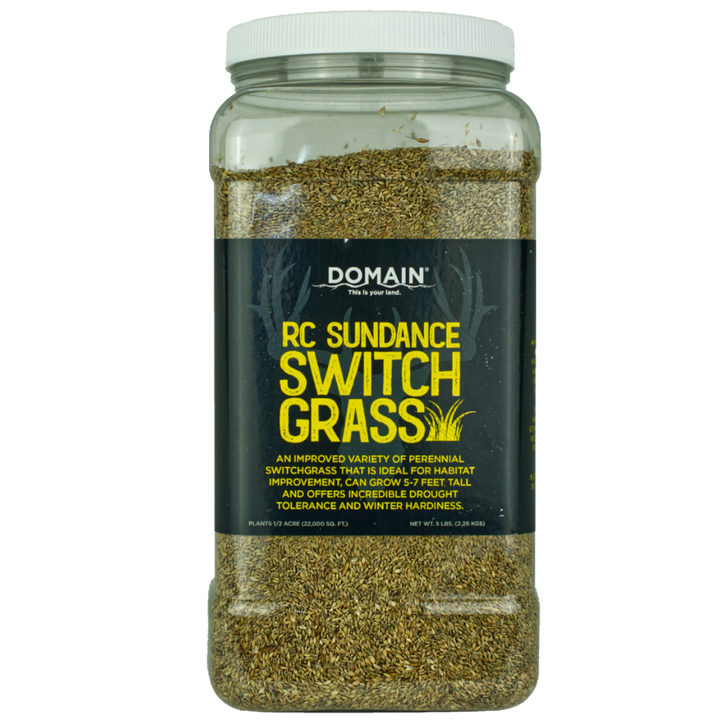 RC Sundance Switchgrass Habitat Seed