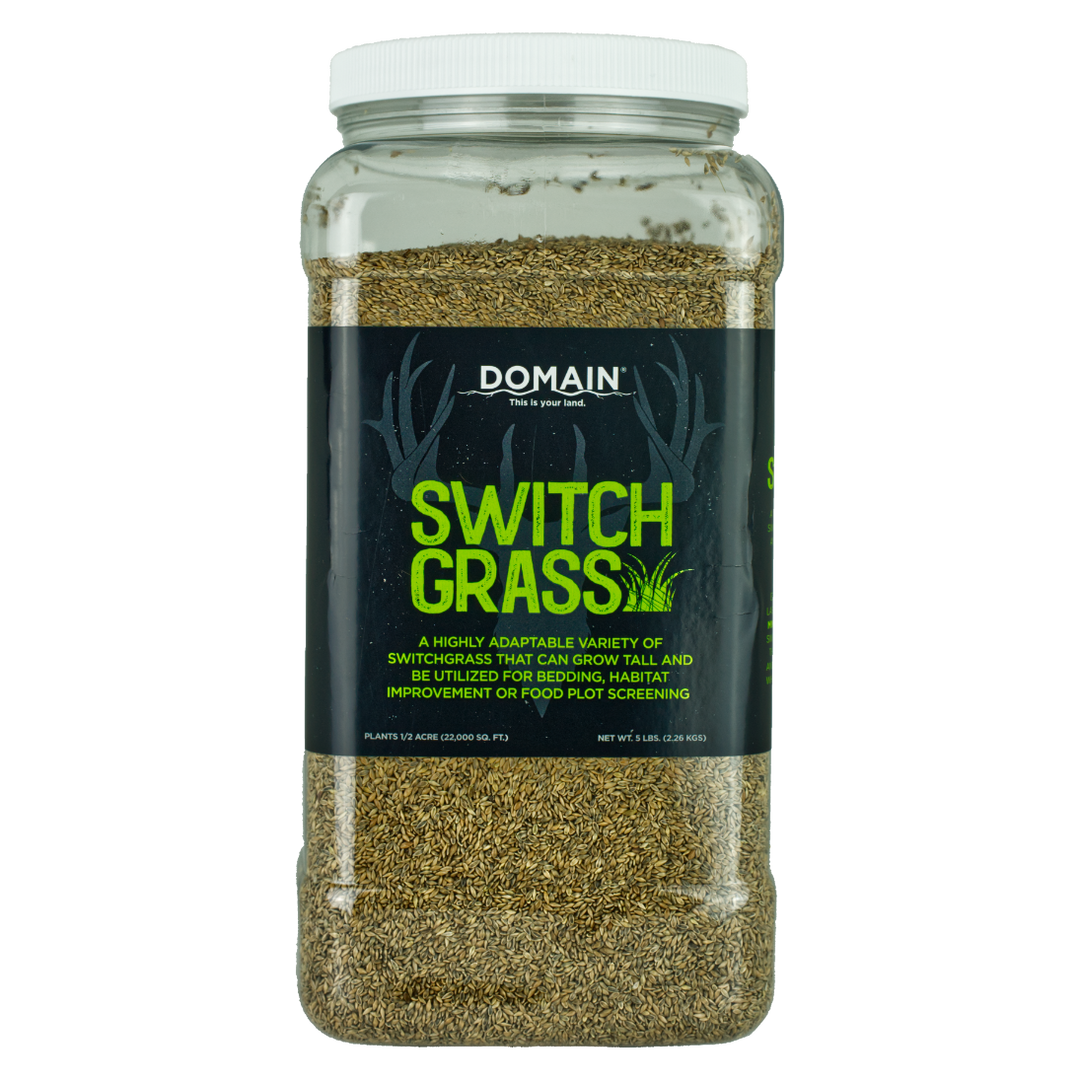 RC Big Rock Switchgrass