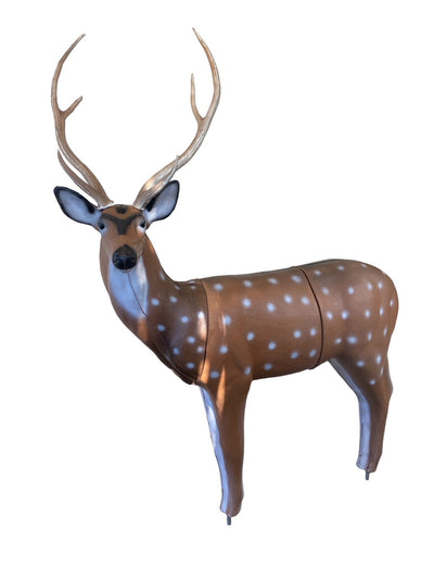 Real Wild 3D Axis Deer with EZ Pull Foam