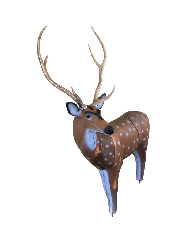 Real Wild 3D Axis Deer with EZ Pull Foam