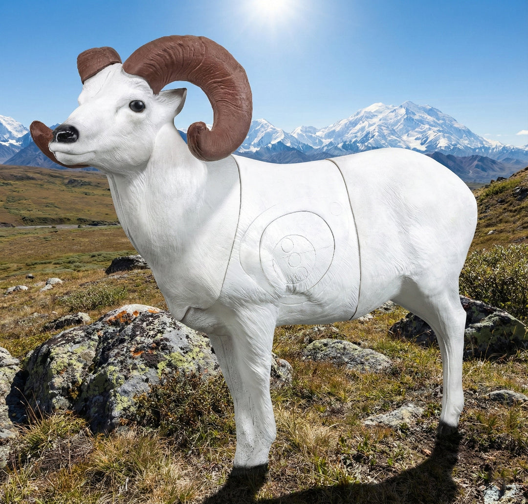 Real Wild 3D Dall Sheep
