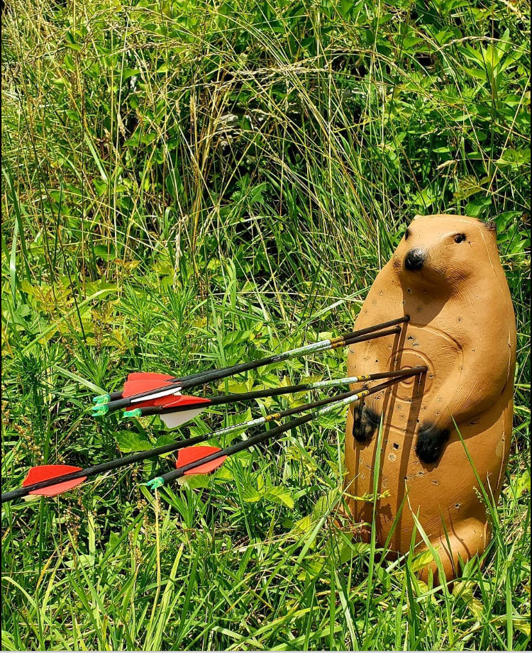 Pro Hunter Groundhog Archery Target
