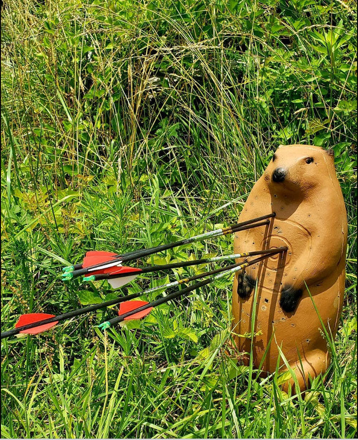 Pro Hunter Groundhog Archery Target