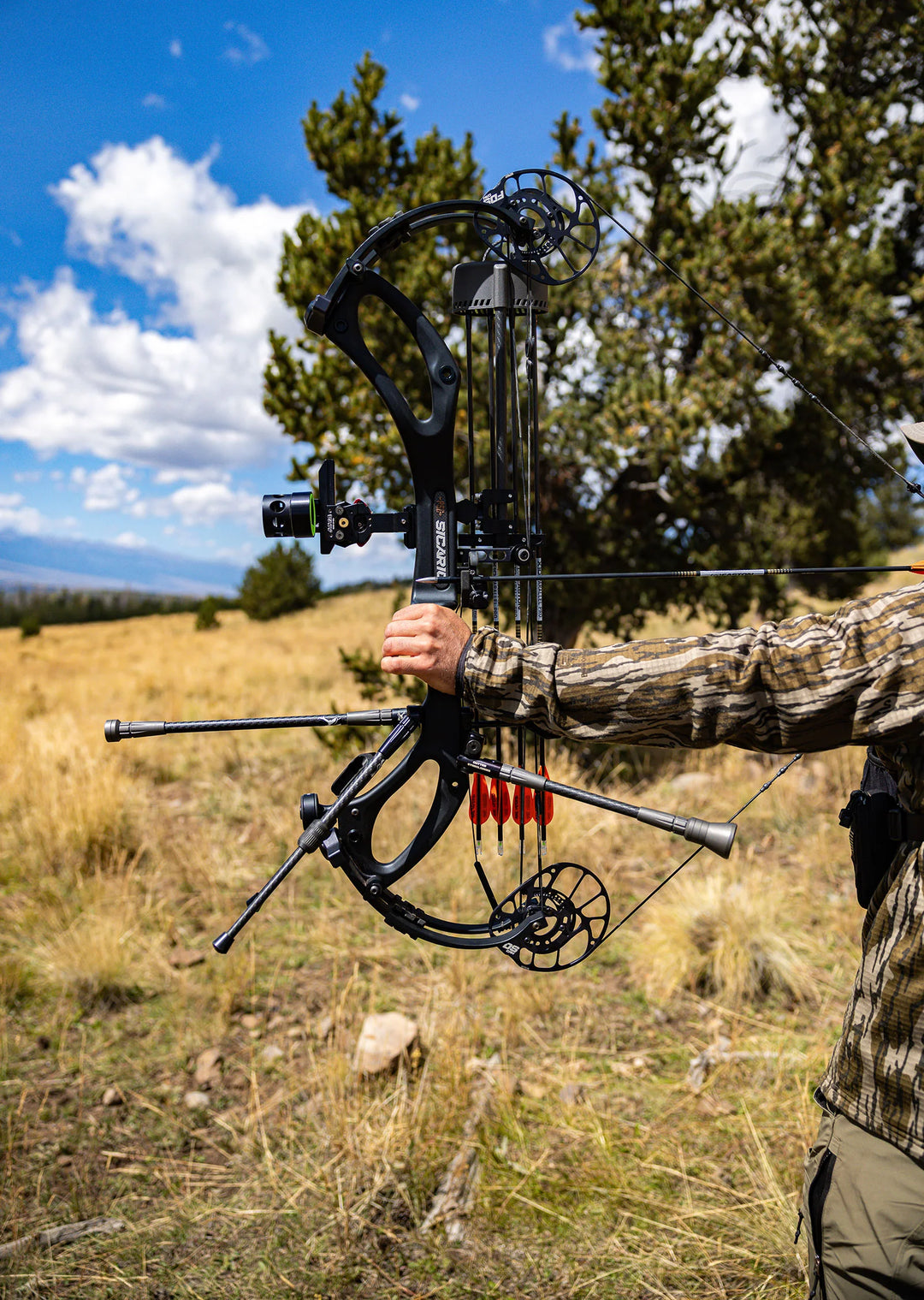 PSE 2026 Sicario Carbon Compound Hunting Bow