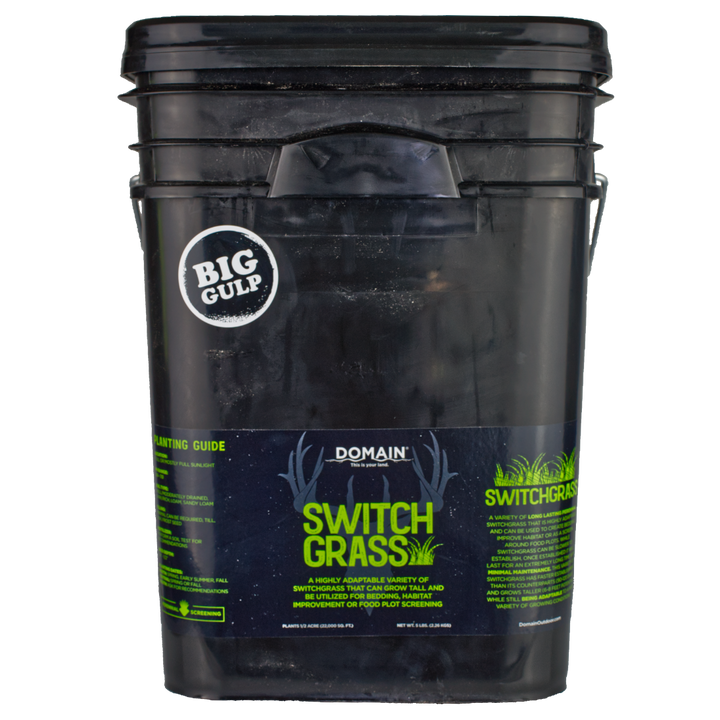 RC Big Rock Switchgrass