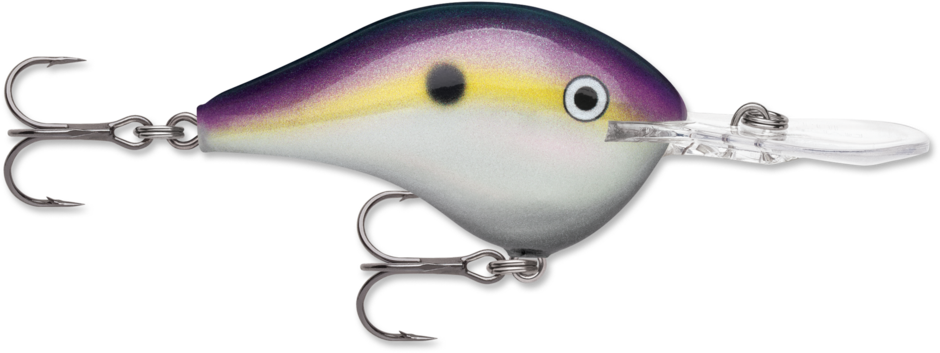 Rapala DivesTo 10 Crankbaits