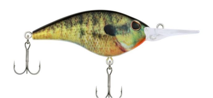 Berkley Frittside 7