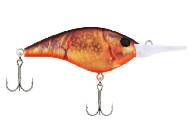 Berkley Frittside 7