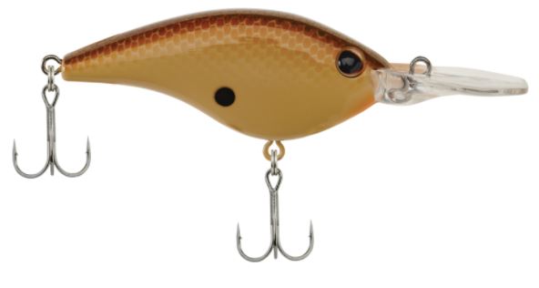 Berkley Frittside 7