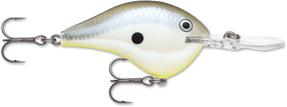Rapala DivesTo 10 Crankbaits