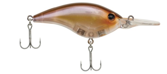 Berkley Frittside 7