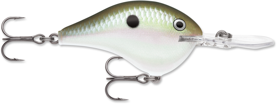 Rapala DivesTo 10 Crankbaits
