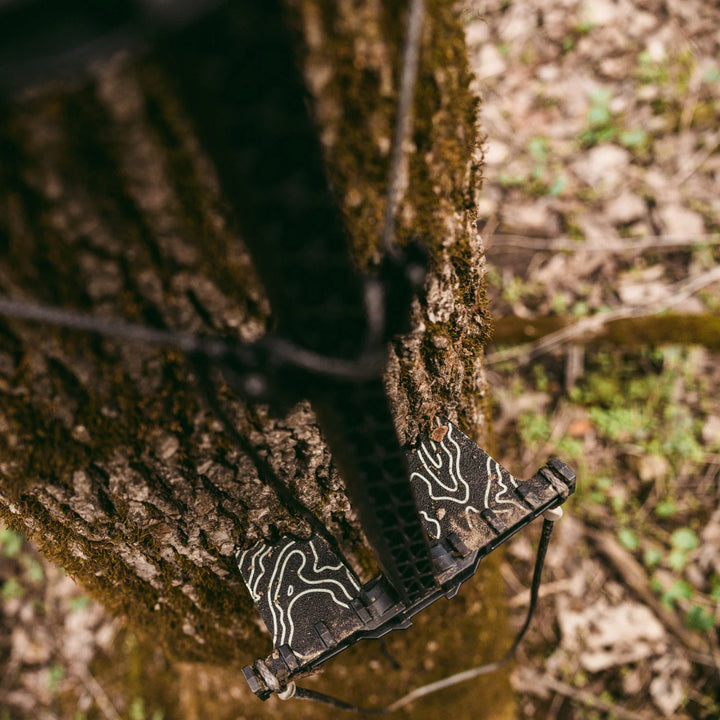 Latitude Carbon SS Illuminators