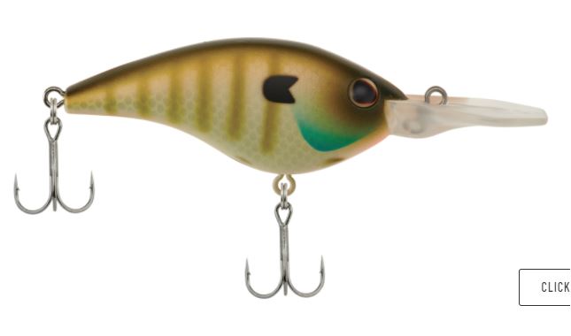 Berkley Frittside 7