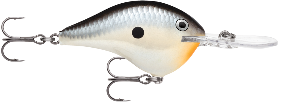 Rapala DivesTo 10 Crankbaits