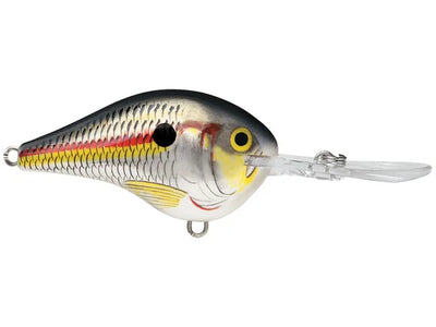 Rapala DivesTo 10 Crankbaits