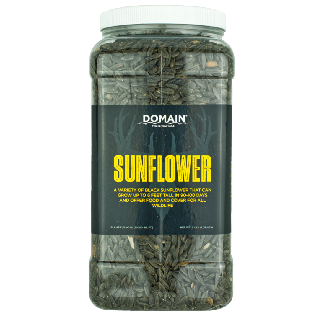 Sunflower Food Plot Seed