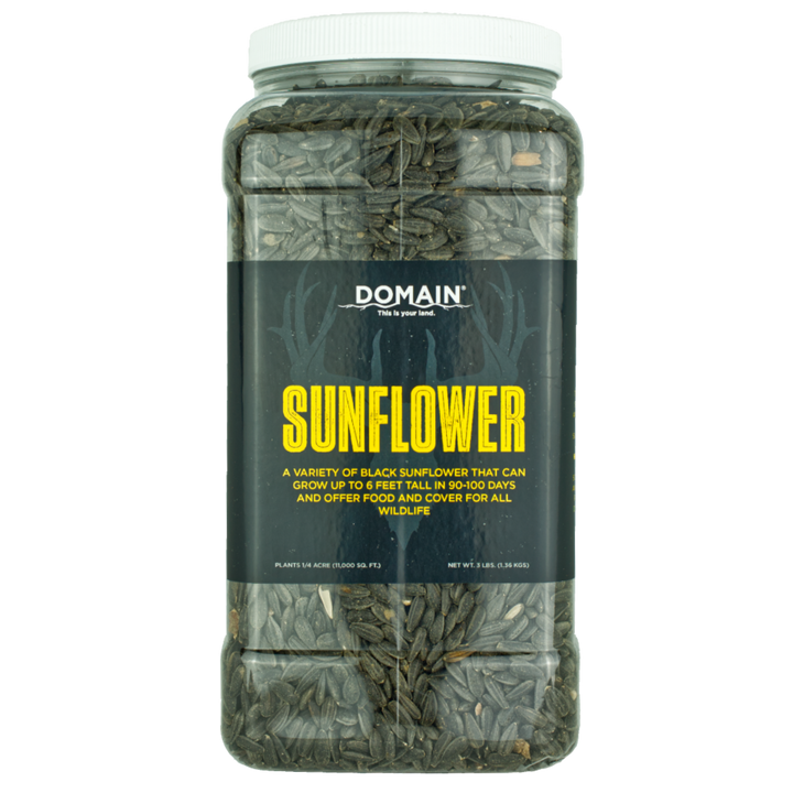 Sunflower Food Plot Seed