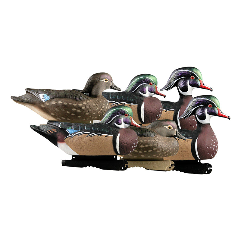 Banded Pro-Grade Wood Ducks