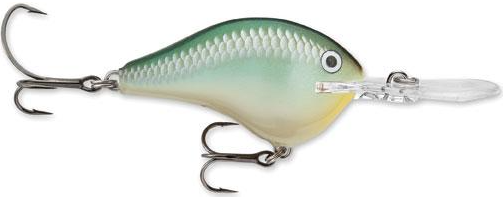 Rapala DivesTo 4 Crankbaits